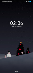 Pixel Pro - Dual_DWM4