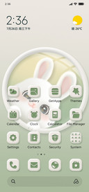 Probe rabbit