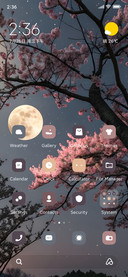 Moon OS