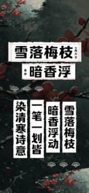 雪落梅枝暗香浮