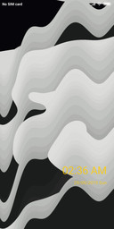 alse_DWM2
