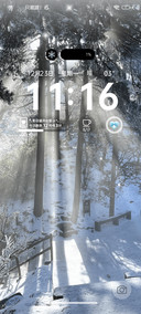 聆听雪的声音 多图