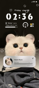 Kitten Head