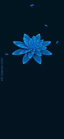 蓝色花