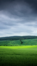 Rainy Green Fields of Moravia