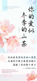 你的爱似冬季的山茶