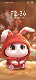 Q+Cute+Rabbit