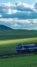 Stroll on the grassland