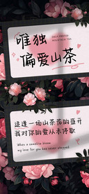 唯独偏爱山茶