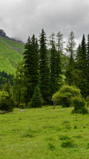 A cool walk in the green fields of shuangqiao valley