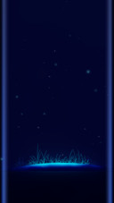仲夏夜之梦