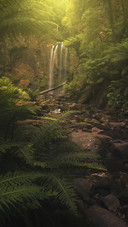 international_scenery (10)
