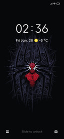 Spider