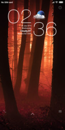 Morning fog
