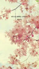 初恋之花