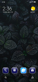 Floral Leaves