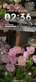ins温柔花叙