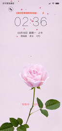 玫瑰花恋