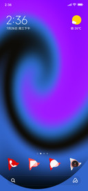 zit_DWM2