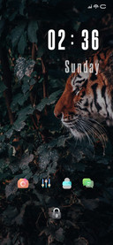 Wild Tiger