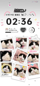 ins猫猫照片墙