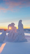 Beautiful Winter Wonderland Scenery