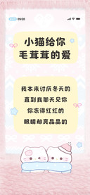 小猫给你毛茸茸的爱