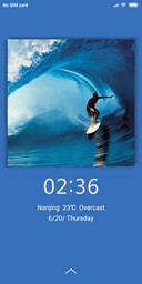 Surfing NY