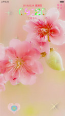 灿烂 桃花