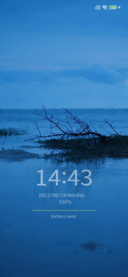 Sea  Lone Branches
