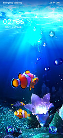 Blue Ocean