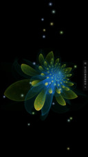 亦幻亦真