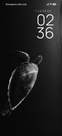 Deep Turtle