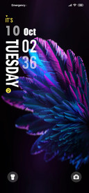 Colorful wings