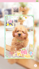 萌宠汪星人