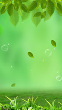 春