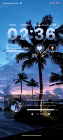 ins Coconut Grove