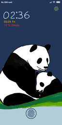 Panda Love