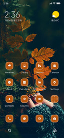 Forest
