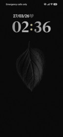 Black Leaf