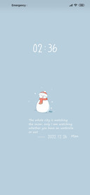 Winter Christmas