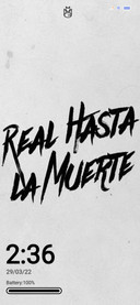 Real IZ V13