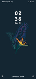 Tropical Dark Leaves_3MDS