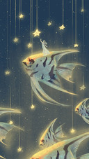 Show you the brightest star
