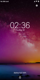 Android Q Notch_DWM19