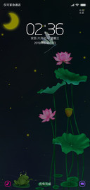 护眼夜荷