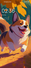 Cute Corgi