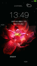 夜玫瑰