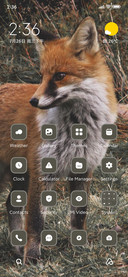 Fox Wild