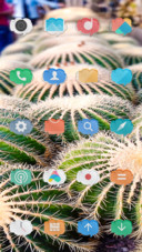 Cactuses series_DWM3